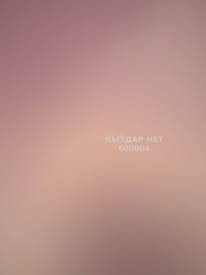 Проститутка Актобе Анкета №600004 Фотография №1