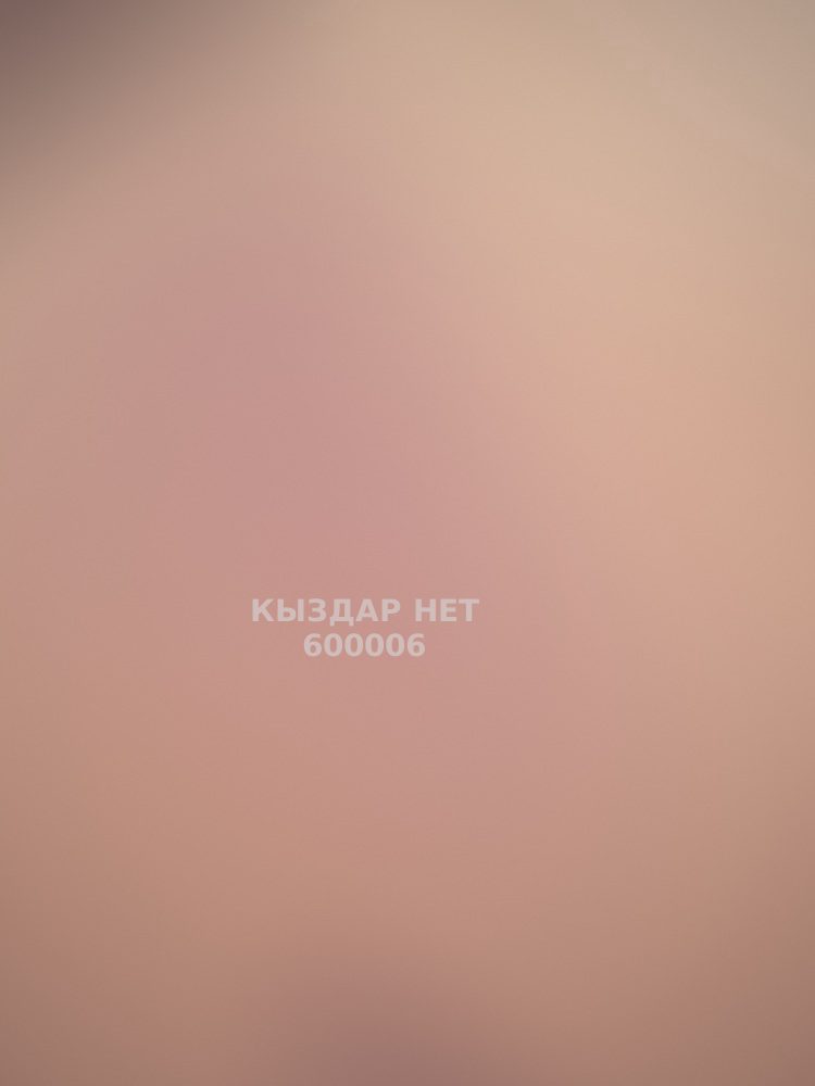 Проститутка Алматы Анкета №600006 Фотография №1
