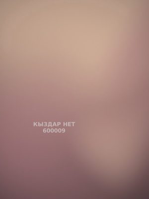 Проститутка Караганды Анкета №600009 Фотография №1