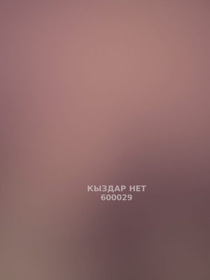 Проститутка Астаны Анкета №600029 Фотография №1