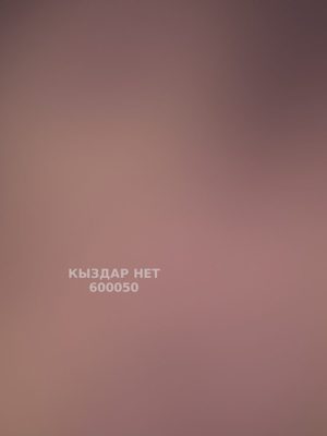 Проститутка Астаны Анкета №600050 Фотография №1