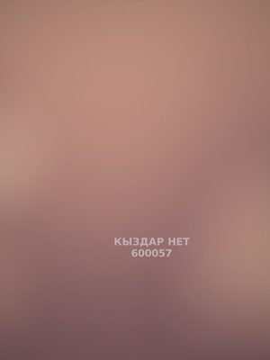 Проститутка Алматы Анкета №600057 Фотография №1
