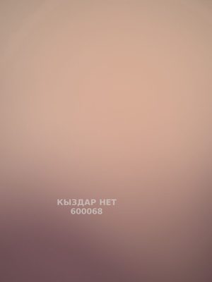 Проститутка Астаны Анкета №600068 Фотография №1