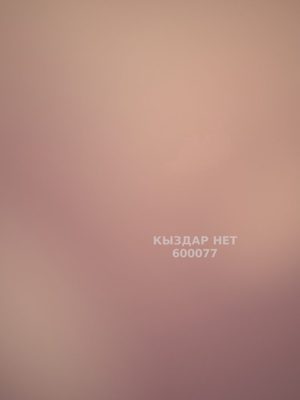 Проститутка Астаны Анкета №600077 Фотография №1
