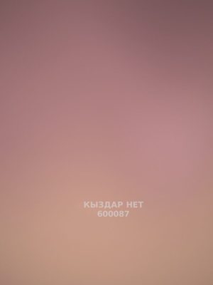 Проститутка Астаны Анкета №600087 Фотография №1