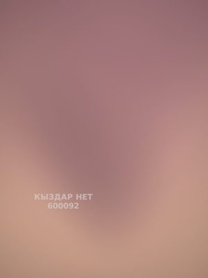 Проститутка Астаны Анкета №600092 Фотография №1