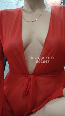 Проститутка Астаны Анкета №602647 Фотография №1
